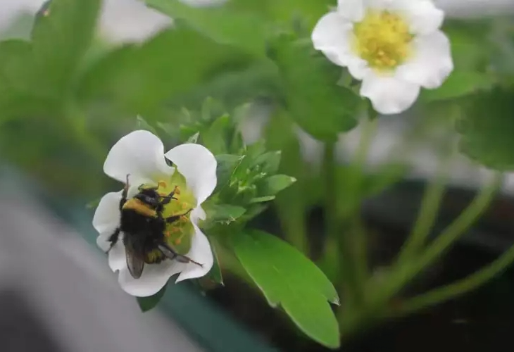 492051.png 492051.png