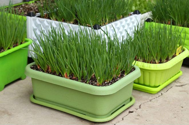 001 (13).png 001 (13).png