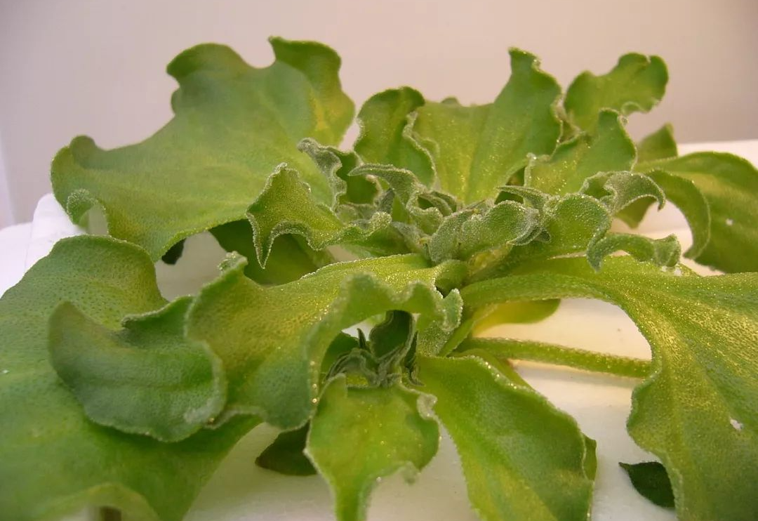 851515.png 851515.png