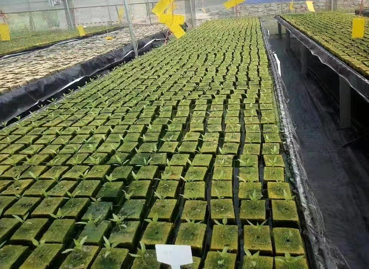 888902.png 888902.png