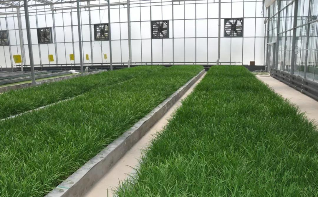 下載0 (77).png 下載0 (77).png