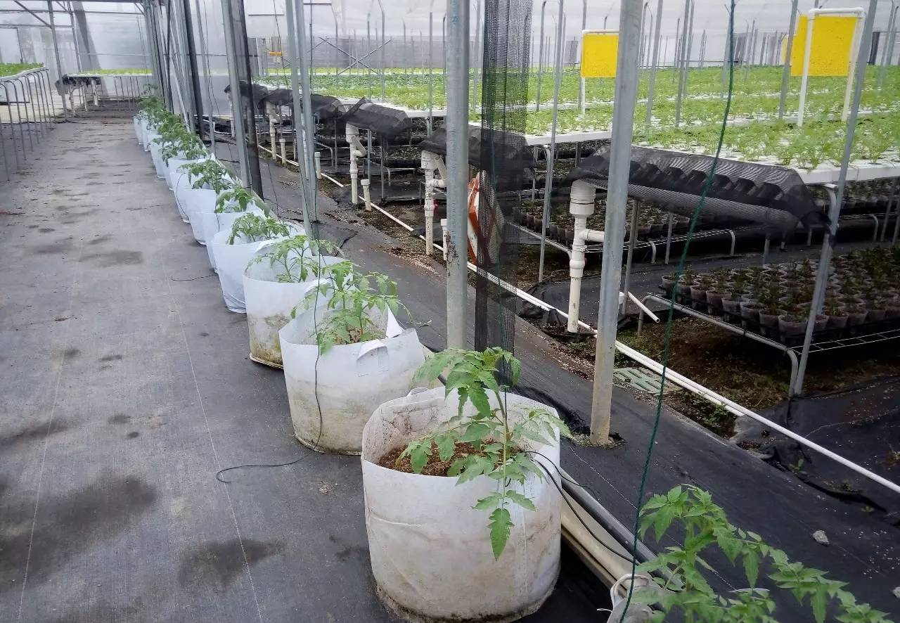 3544201.png 3544201.png