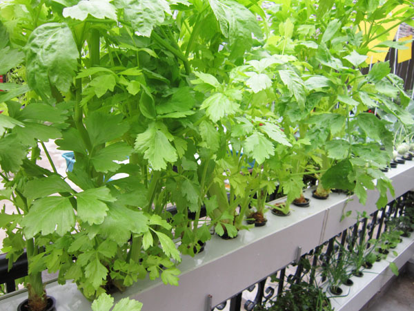 d8316fef24f442e98ec2b9be11559c29_th.jpg d8316fef24f442e98ec2b9be11559c29_th.jpg