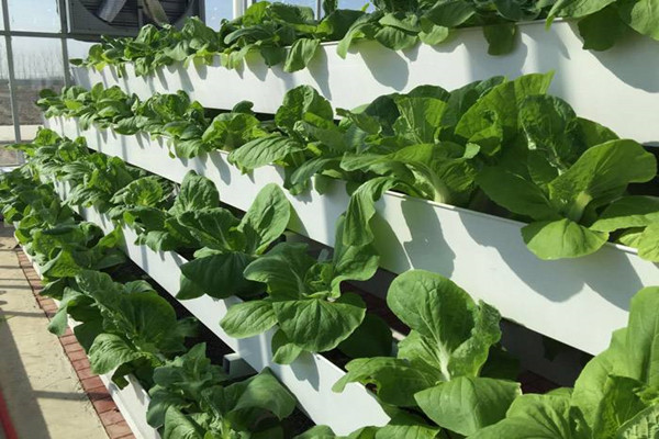 16012704830678.jpg 16012704830678.jpg