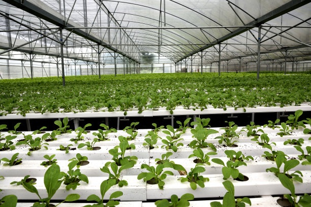 veer-316187597.jpg veer-316187597.jpg