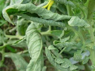 t01ff993427174f46e4.jpg t01ff993427174f46e4.jpg