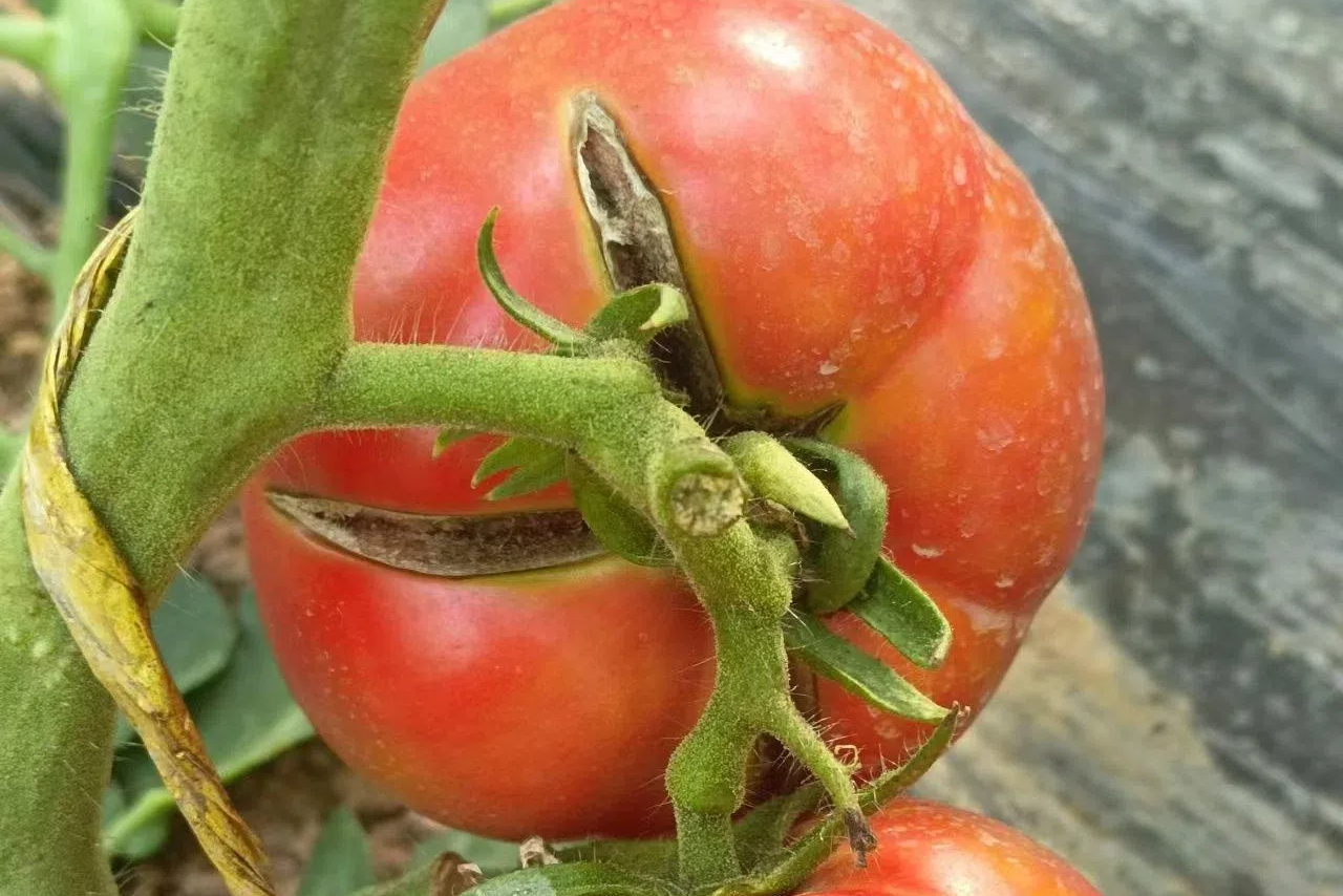 785412.png 785412.png