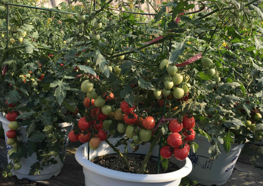 QQ20241007-091506.png QQ20241007-091506.png