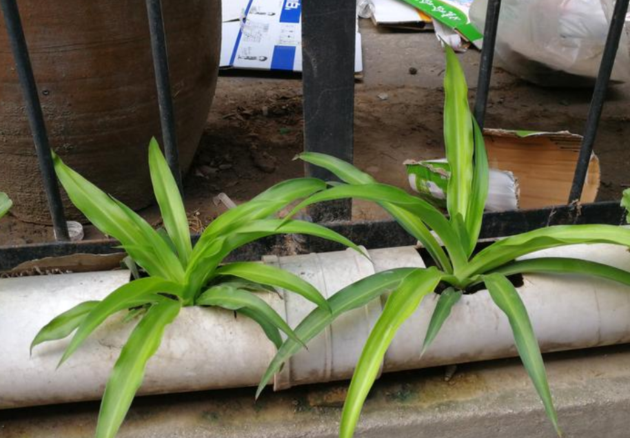 QQ20241007-091419.png QQ20241007-091419.png