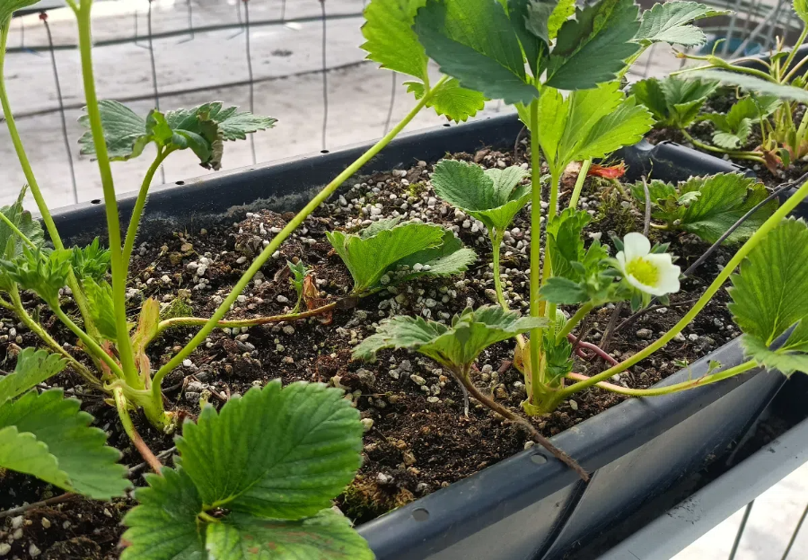 IMG20240317090835 (1).png IMG20240317090835 (1).png